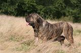 FILA BRASILEIRO 171